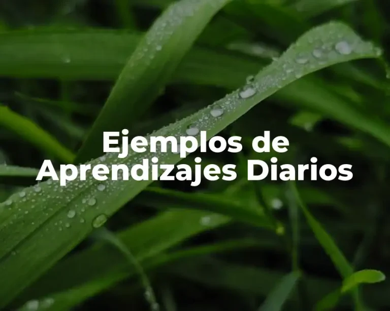 Ejemplos de Aprendizajes Diarios