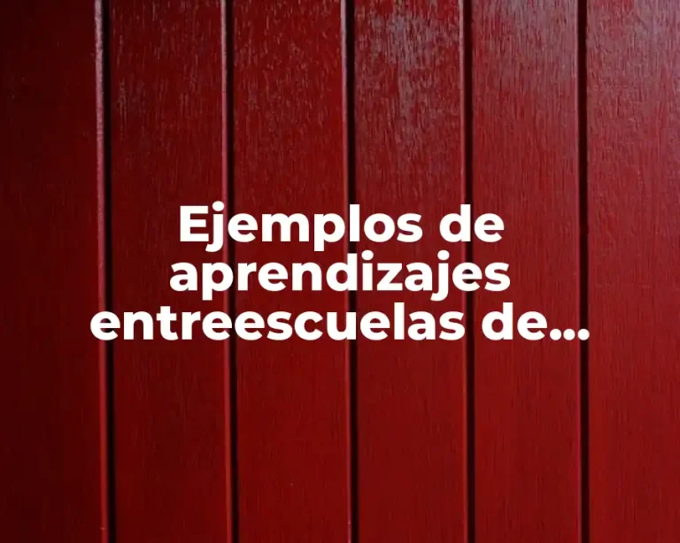 Ejemplos de aprendizajes entreescuelas de tercera sesión y Significado