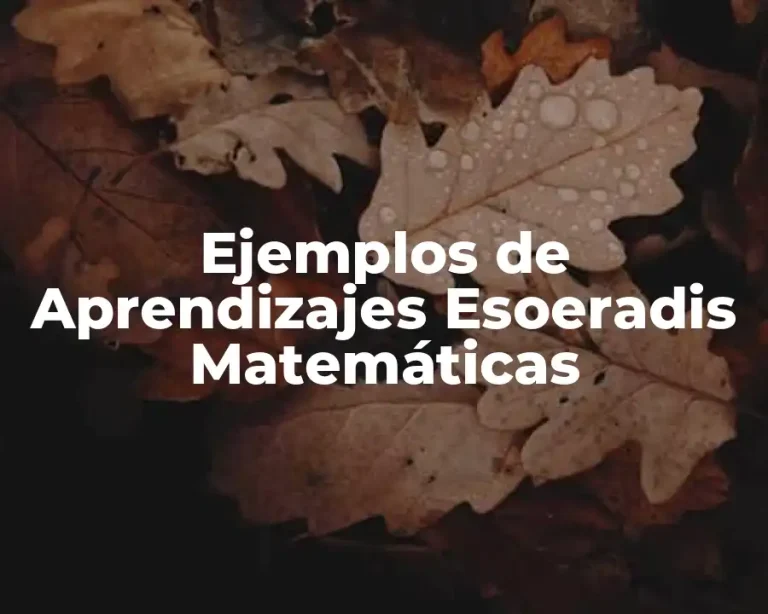 Ejemplos de Aprendizajes Esoeradis Matemáticas