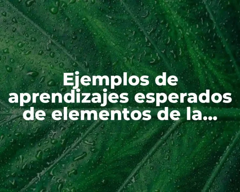 Ejemplos de aprendizajes esperados de elementos de la comunicación