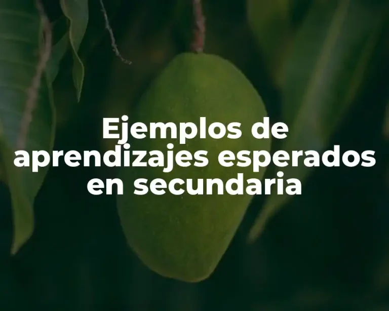 Ejemplos de aprendizajes esperados en secundaria