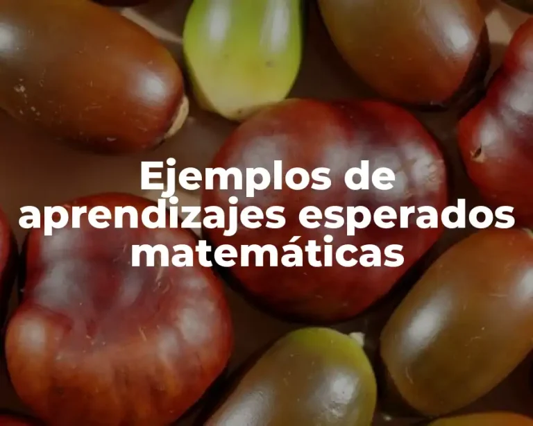 Ejemplos de aprendizajes esperados matemáticas