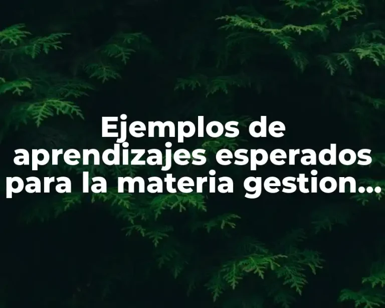 Ejemplos de aprendizajes esperados para la materia gestion escolar