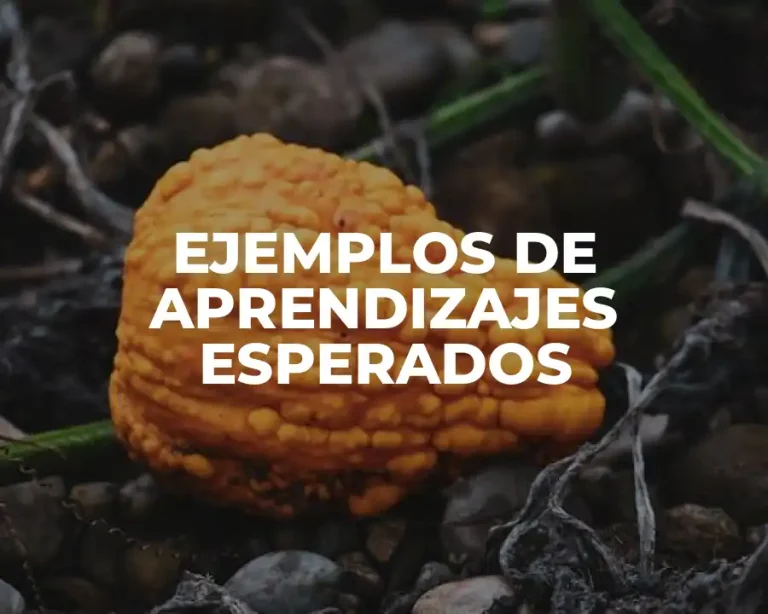 EJEMPLOS DE APRENDIZAJES ESPERADOS