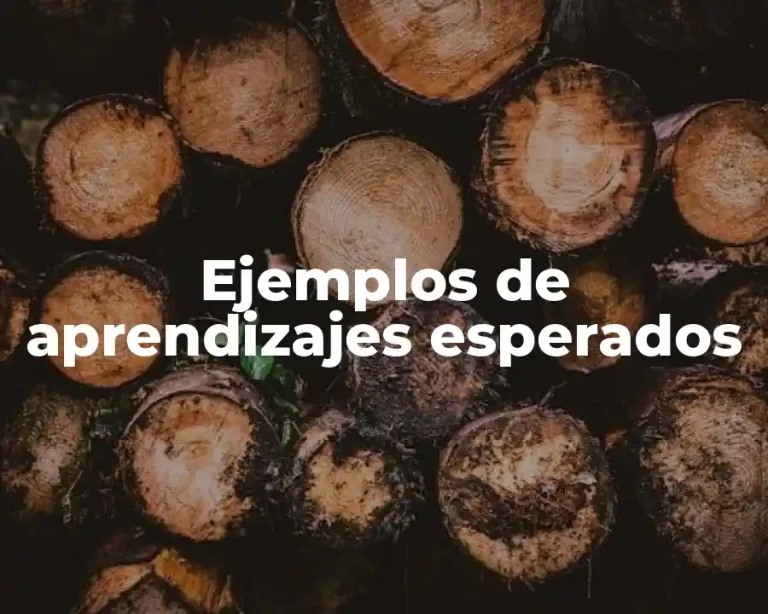 Ejemplos de aprendizajes esperados