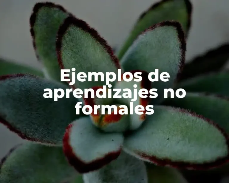 Ejemplos de aprendizajes no formales