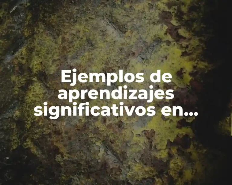 Ejemplos de aprendizajes significativos en educación física