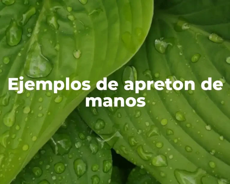 Ejemplos de apreton de manos