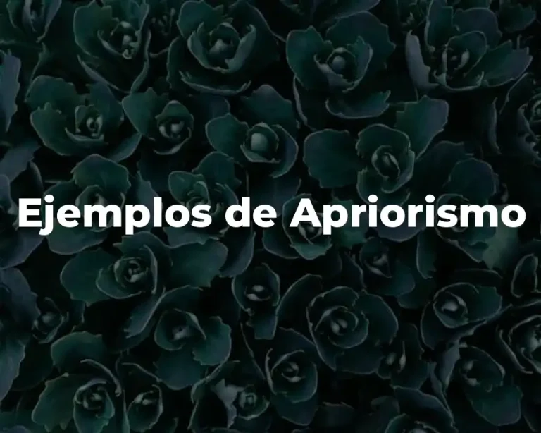 Ejemplos de Apriorismo
