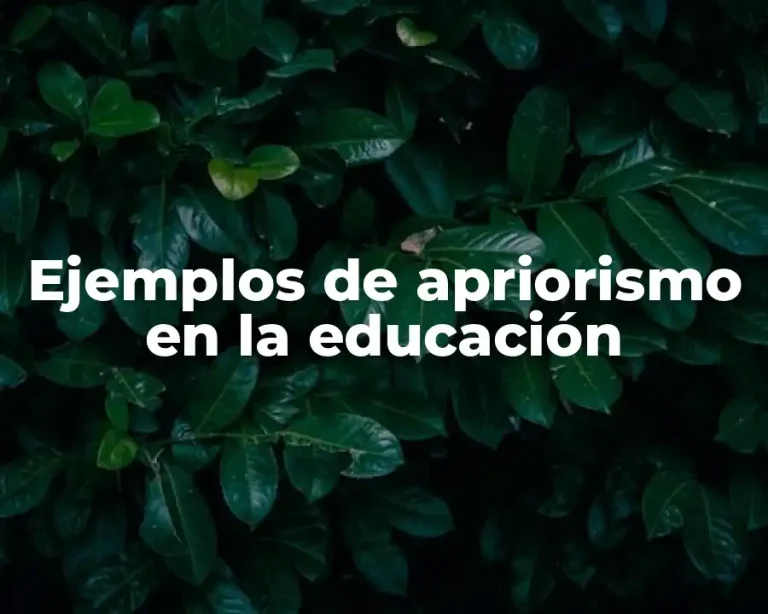 Ejemplos de apriorismo en la educación