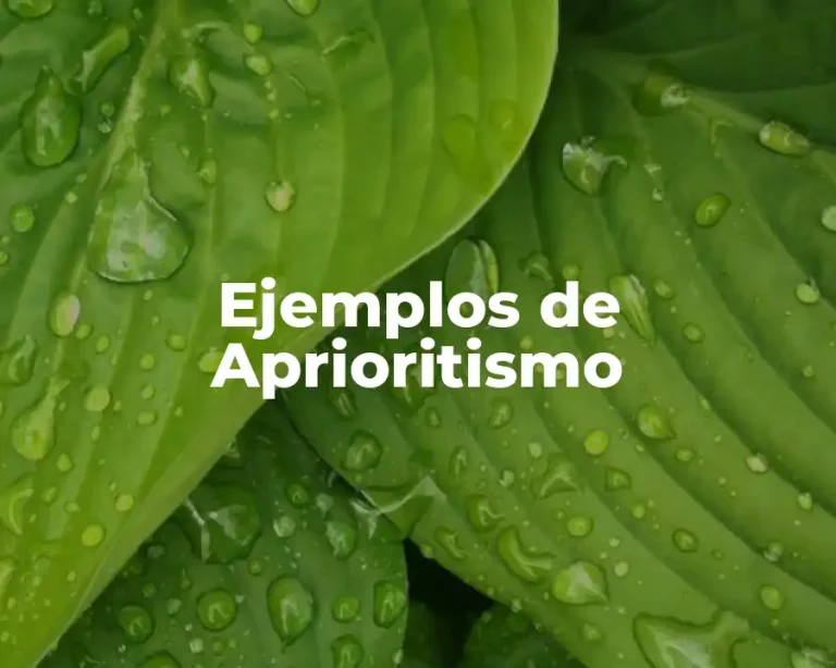 Ejemplos de Aprioritismo