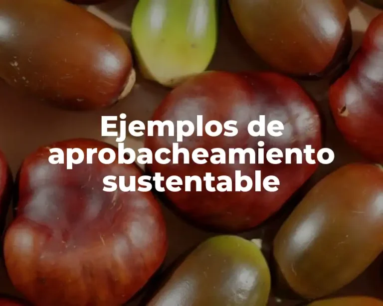 Ejemplos de aprobacheamiento sustentable