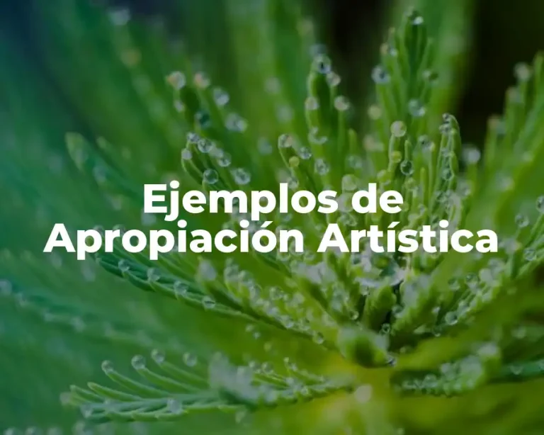 Ejemplos de Apropiación Artística