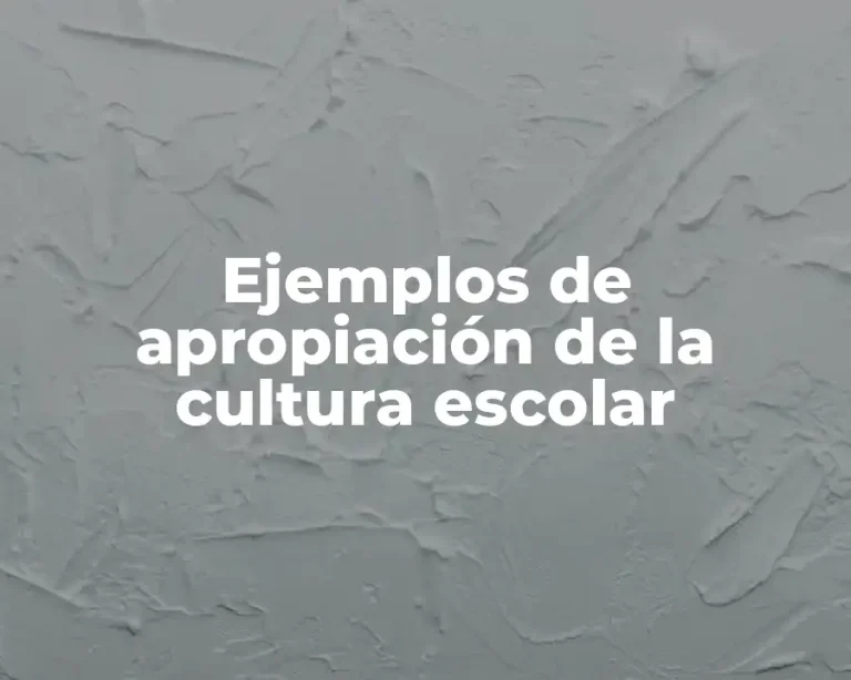 Ejemplos de apropiación de la cultura escolar
