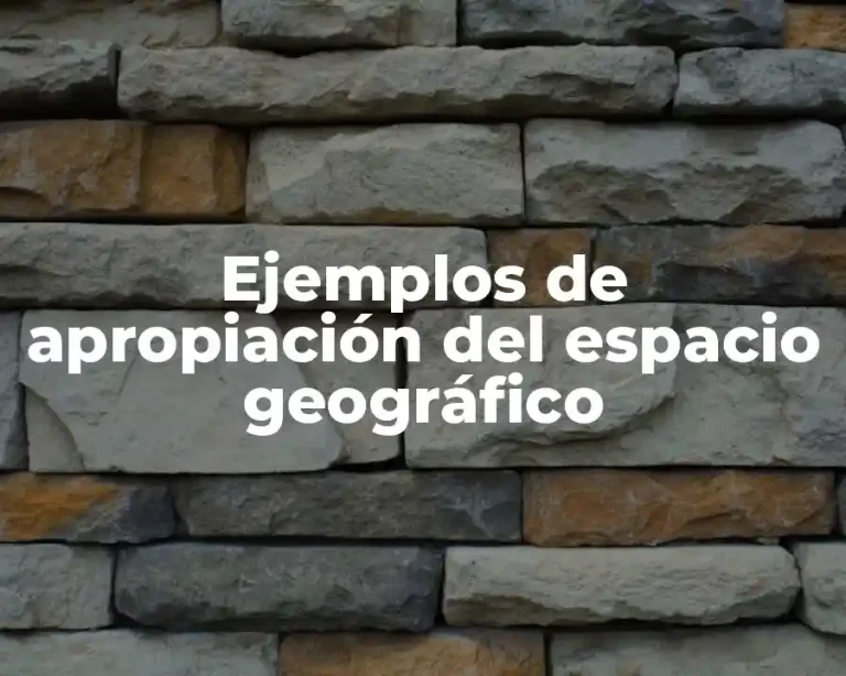 Ejemplos de apropiación del espacio geográfico