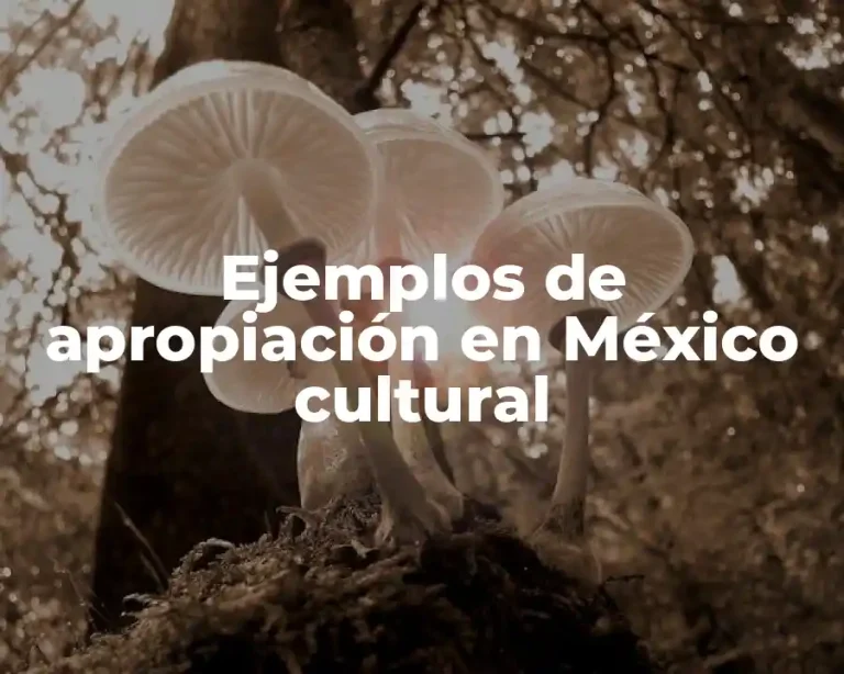 Ejemplos de apropiación en México cultural