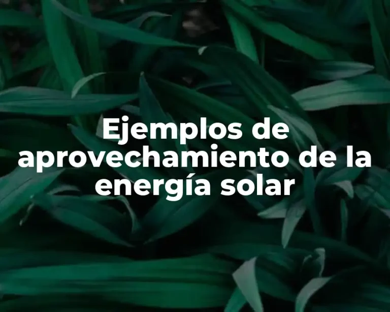 Ejemplos de aprovechamiento de la energía solar