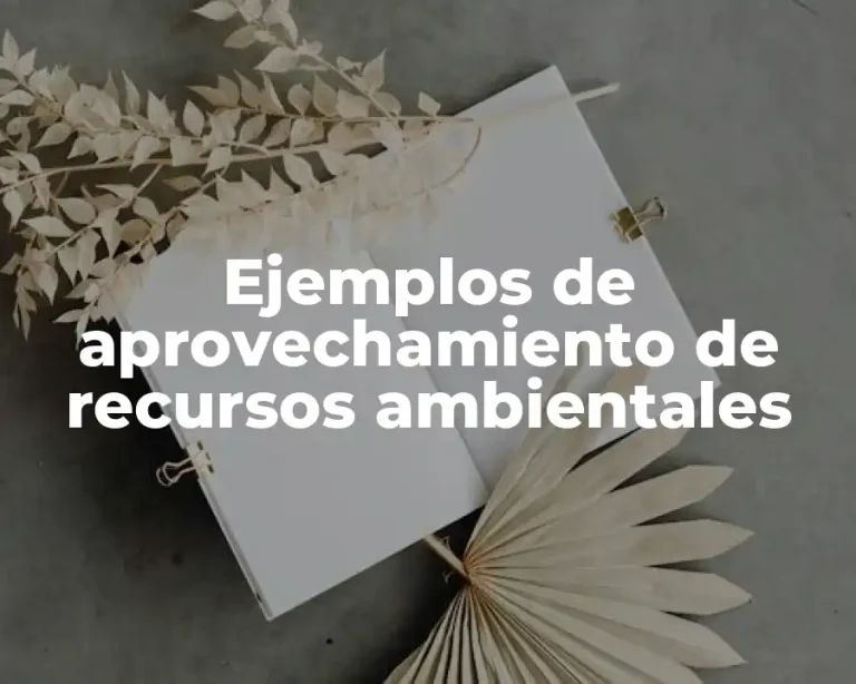 Ejemplos de aprovechamiento de recursos ambientales