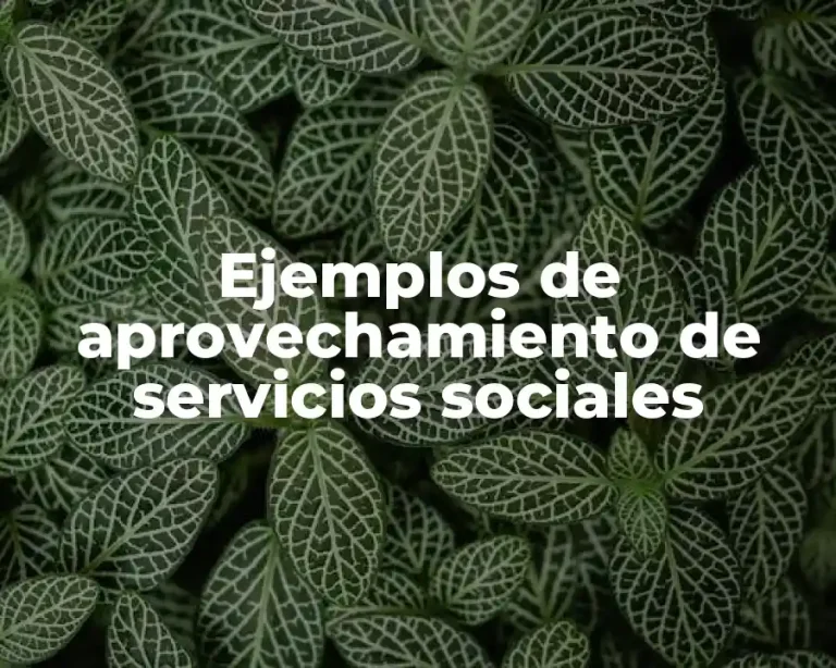 Ejemplos de aprovechamiento de servicios sociales