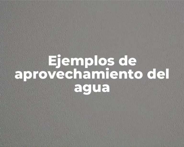 Ejemplos de aprovechamiento del agua