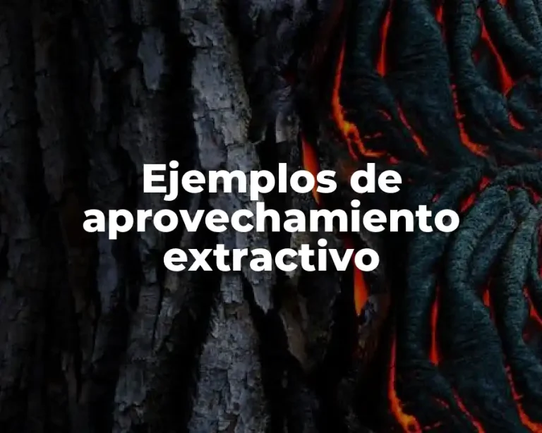 Ejemplos de aprovechamiento extractivo