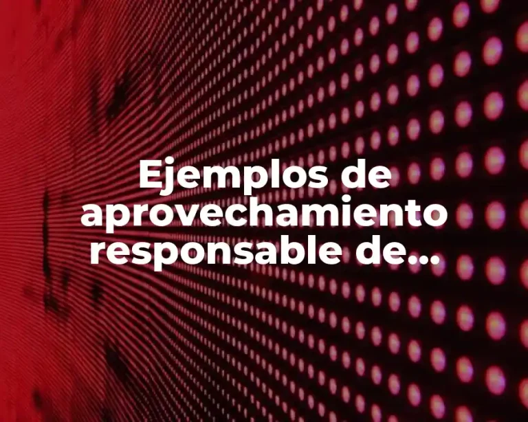 Ejemplos de aprovechamiento responsable de recursos naturales