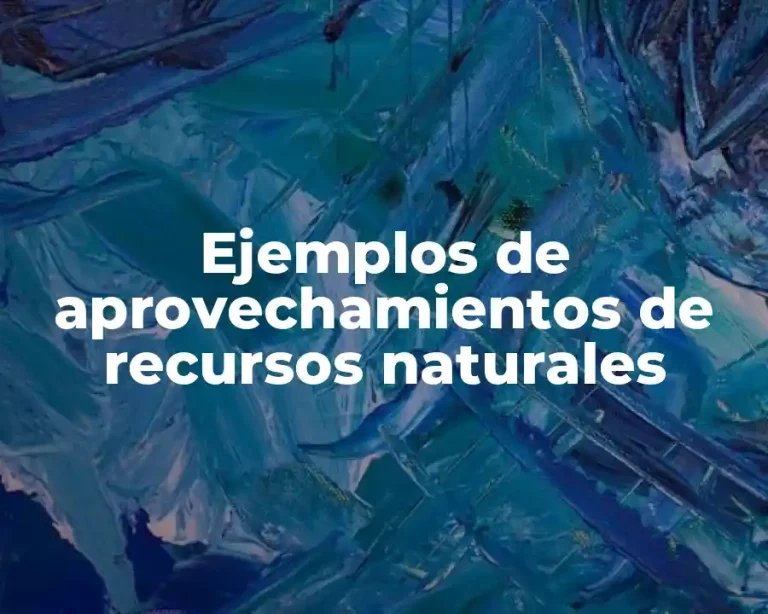 Ejemplos de aprovechamientos de recursos naturales