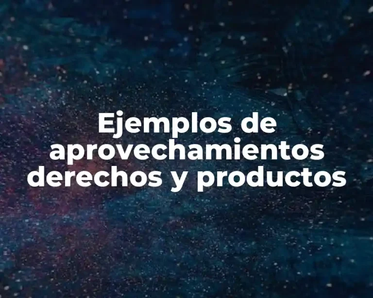 Ejemplos de aprovechamientos derechos y productos