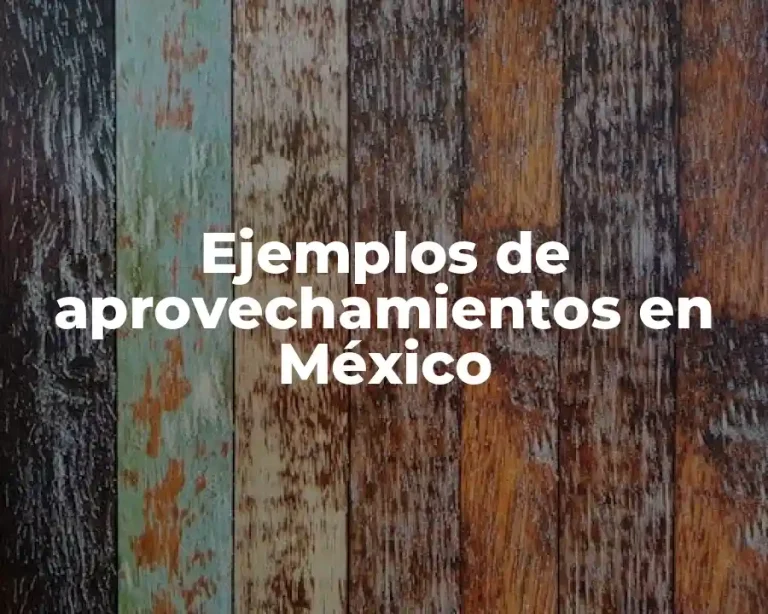 Ejemplos de aprovechamientos en México