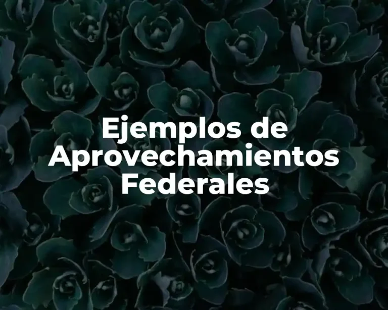 Ejemplos de Aprovechamientos Federales