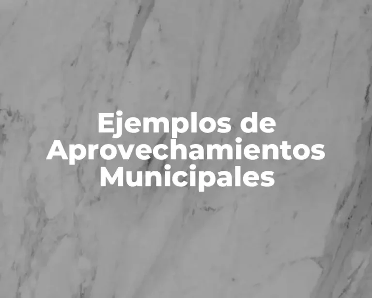 Ejemplos de Aprovechamientos Municipales