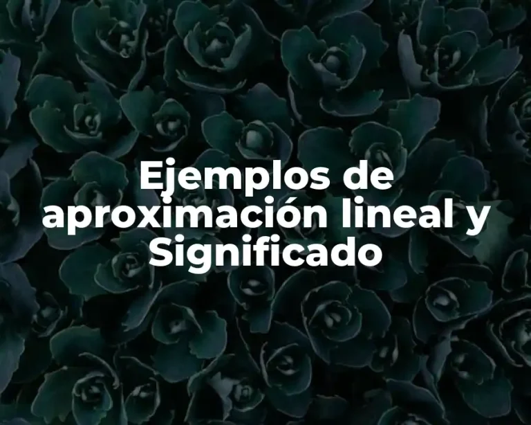 Ejemplos de aproximación lineal y Significado