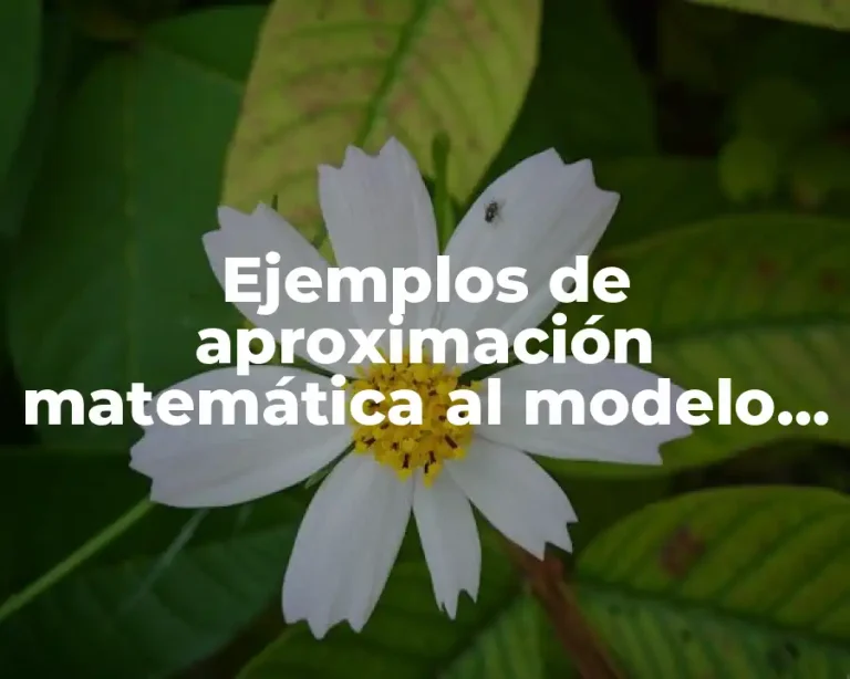 Ejemplos de aproximación matemática al modelo mutualismo o simbiosis y Significado