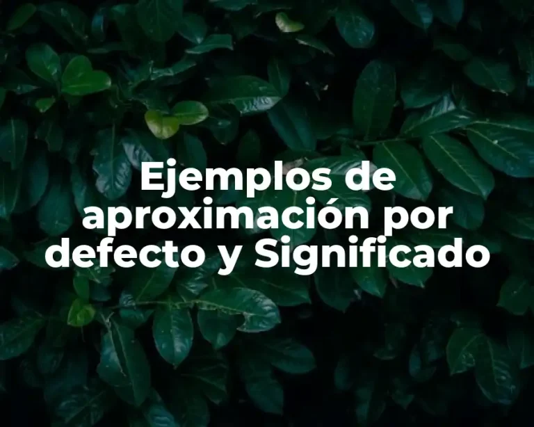 Ejemplos de aproximación por defecto y Significado