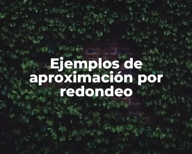 Ejemplos de aproximación por redondeo