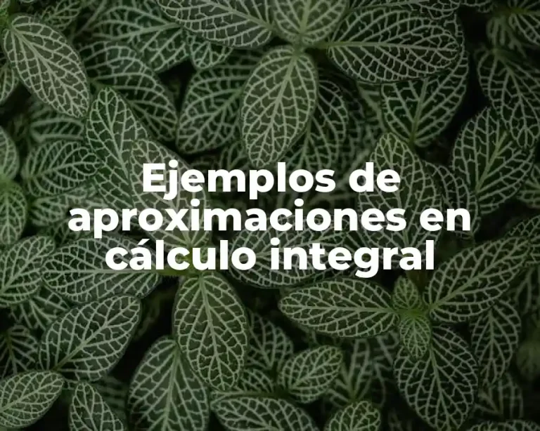 Ejemplos de aproximaciones en cálculo integral