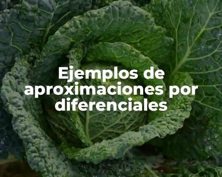 Ejemplos de aproximaciones por diferenciales