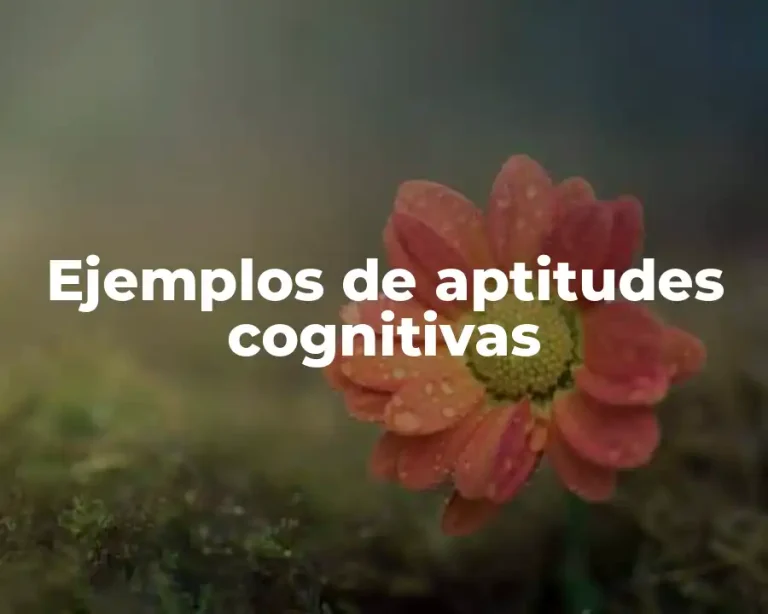 Ejemplos de aptitudes cognitivas