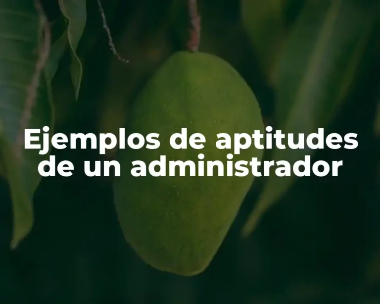 Ejemplos de aptitudes de un administrador