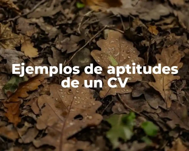 Ejemplos de aptitudes de un CV