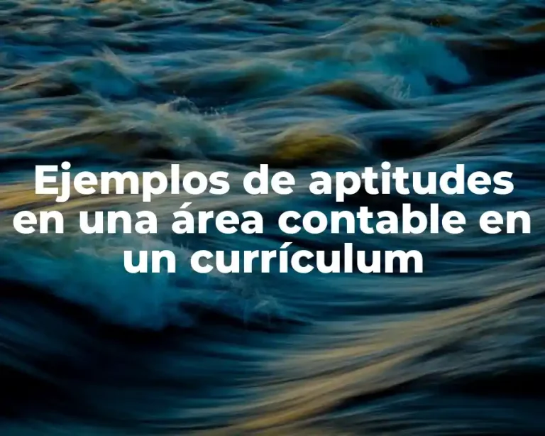 Ejemplos de aptitudes en una área contable en un currículum