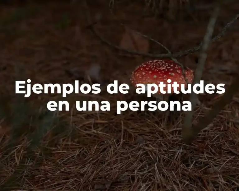 Ejemplos de aptitudes en una persona