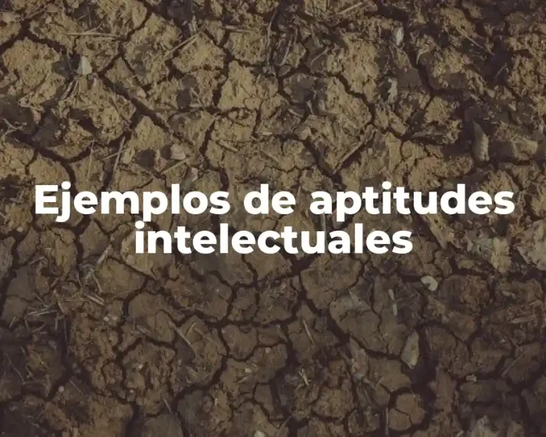 Ejemplos de aptitudes intelectuales