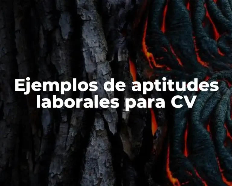 Ejemplos de aptitudes laborales para CV