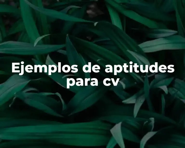 Ejemplos de aptitudes para cv