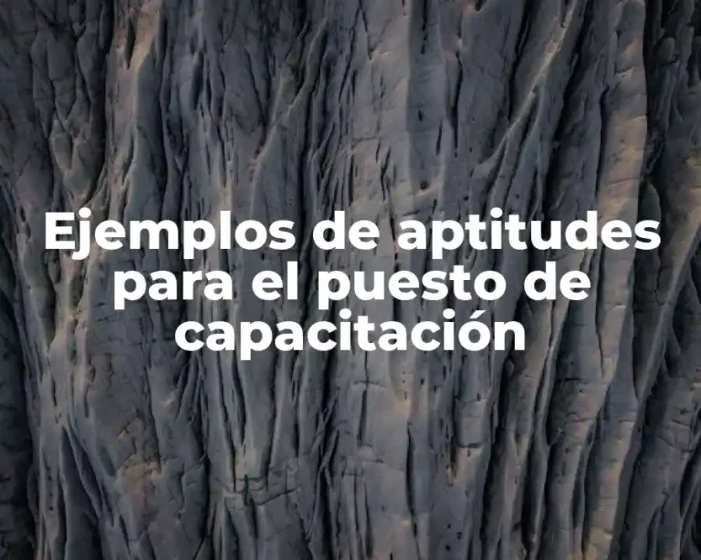 Ejemplos de aptitudes para el puesto de capacitación