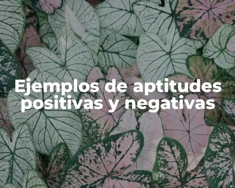 Ejemplos de aptitudes positivas y negativas
