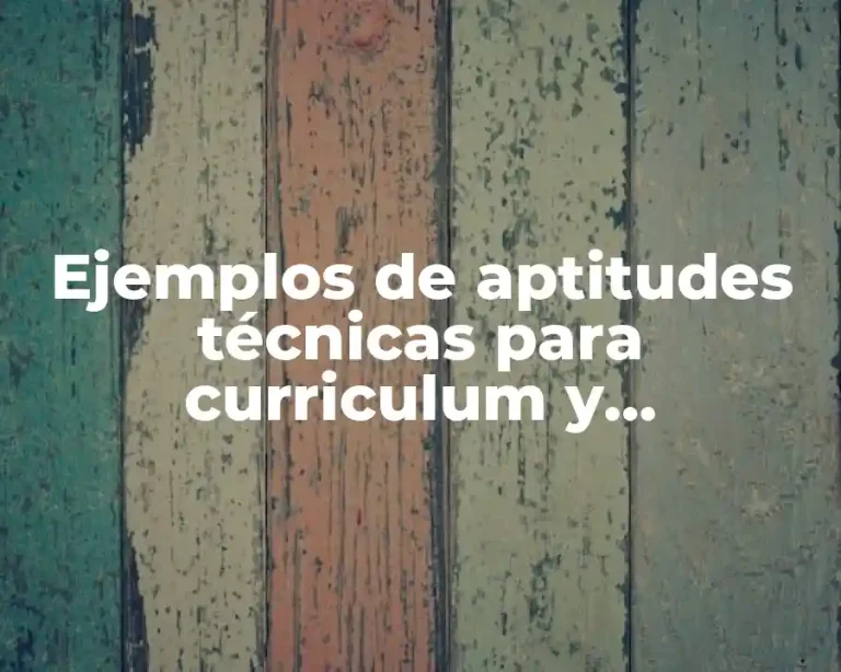Ejemplos de aptitudes técnicas para curriculum y Significado