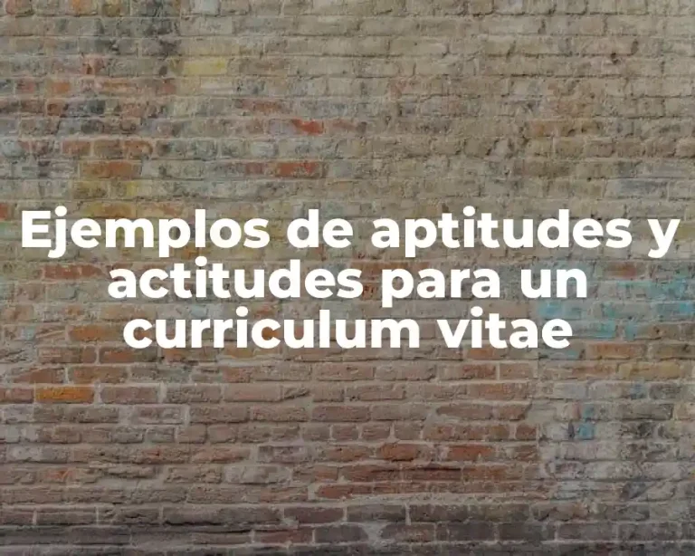 Ejemplos de aptitudes y actitudes para un curriculum vitae