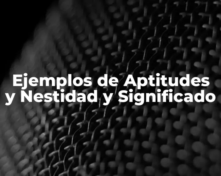 Ejemplos de Aptitudes y Nestidad y Significado